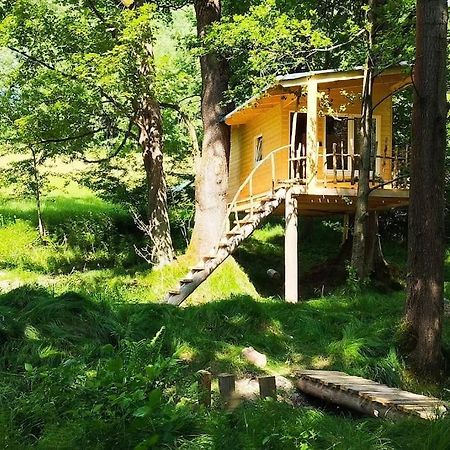 Treehouse Lea Daire Mikulášovice Dış mekan fotoğraf
